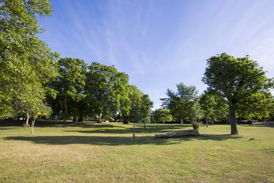 Ellington Park